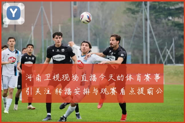 河南卫视现场直播今天的体育赛事引关注 转播安排与观赛看点提前公布