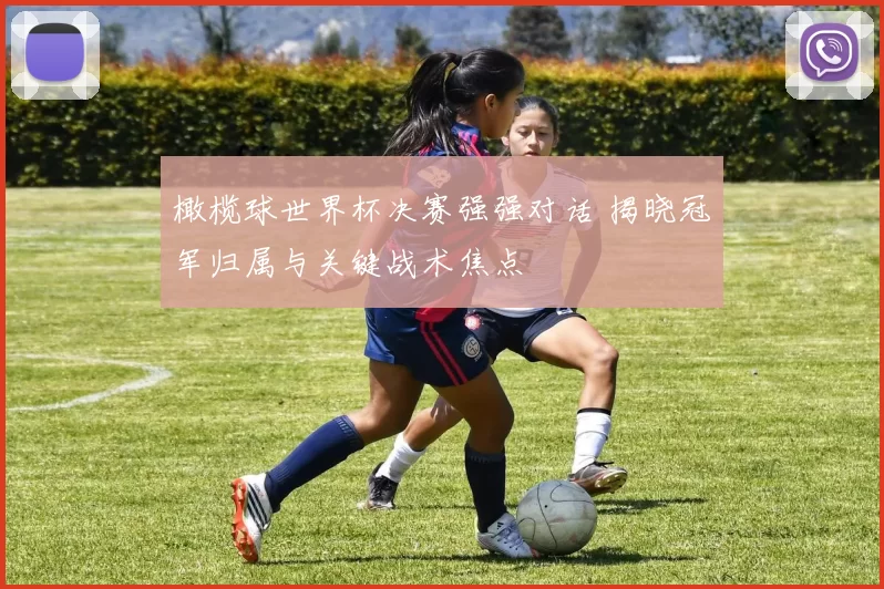 橄榄球世界杯决赛强强对话 揭晓冠军归属与关键战术焦点