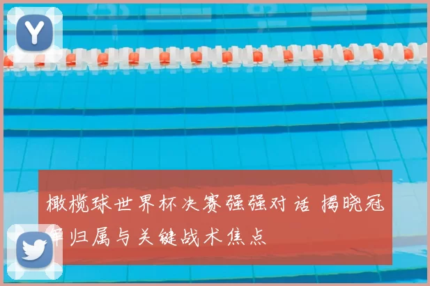 橄榄球世界杯决赛强强对话 揭晓冠军归属与关键战术焦点