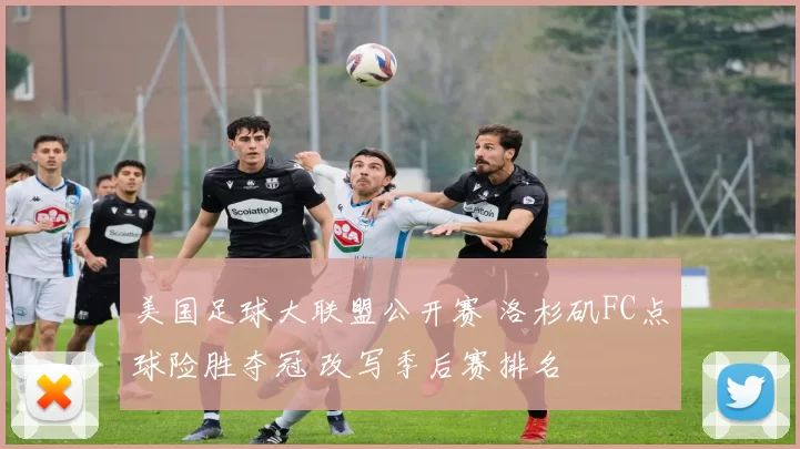 美国足球大联盟公开赛 洛杉矶FC点球险胜夺冠 改写季后赛排名