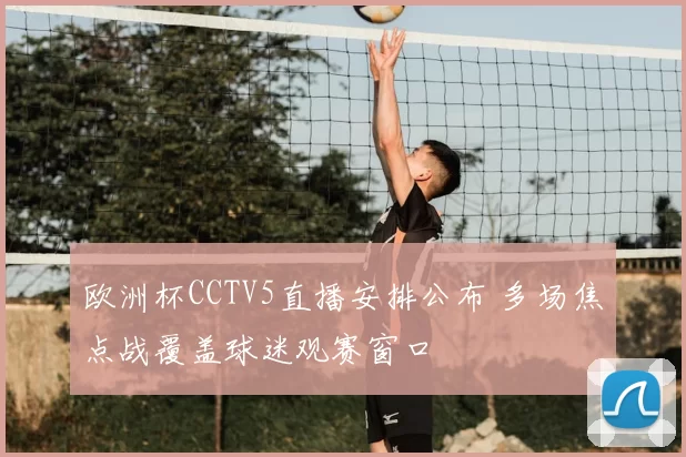 欧洲杯CCTV5直播安排公布 多场焦点战覆盖球迷观赛窗口
